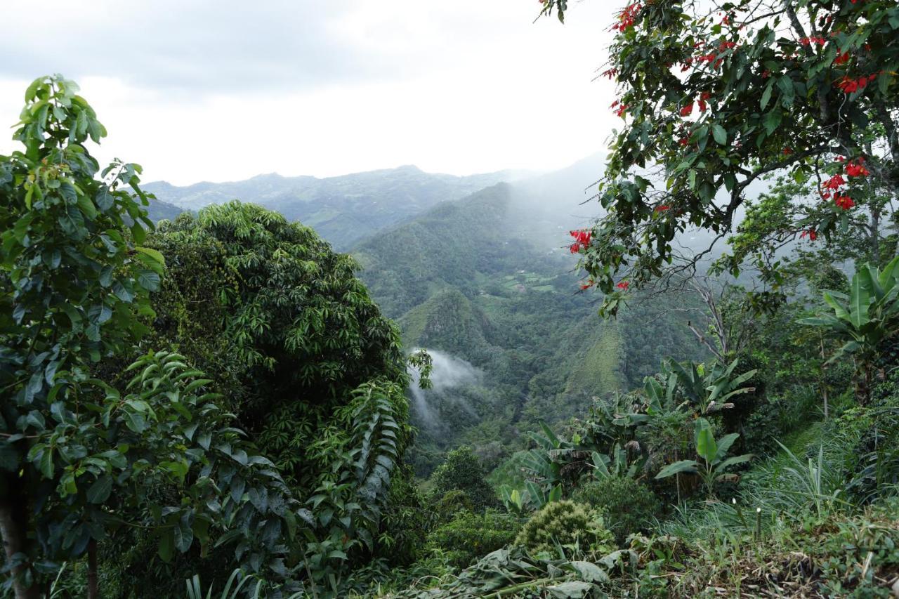 Ecohotel Monteverde La Vega  Bagian luar foto