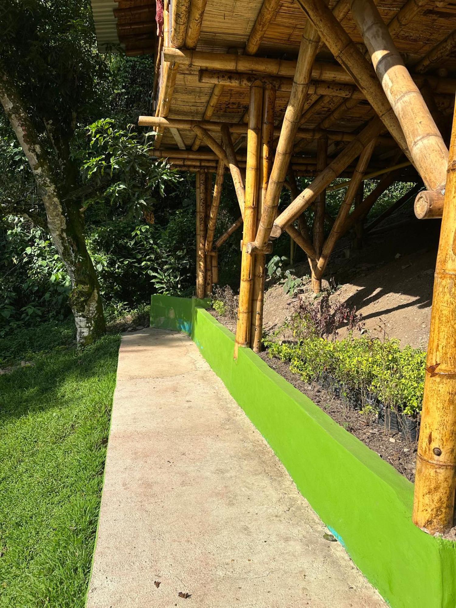 Ecohotel Monteverde La Vega  Bagian luar foto