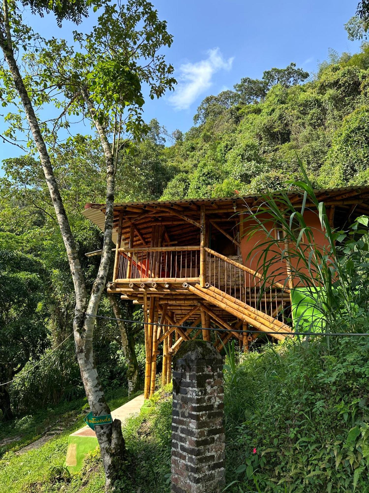 Ecohotel Monteverde La Vega  Bagian luar foto