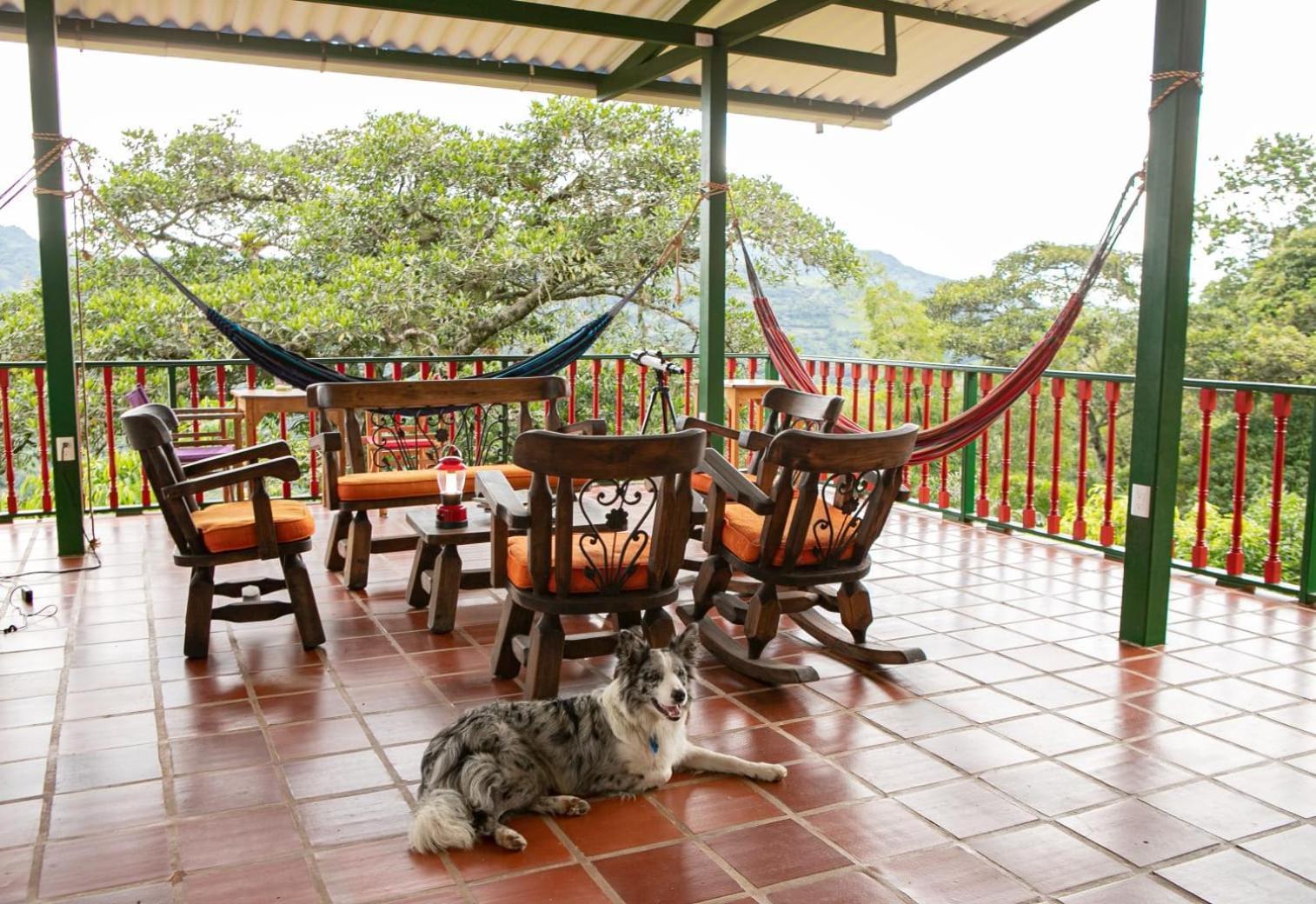 Ecohotel Monteverde La Vega  Bagian luar foto