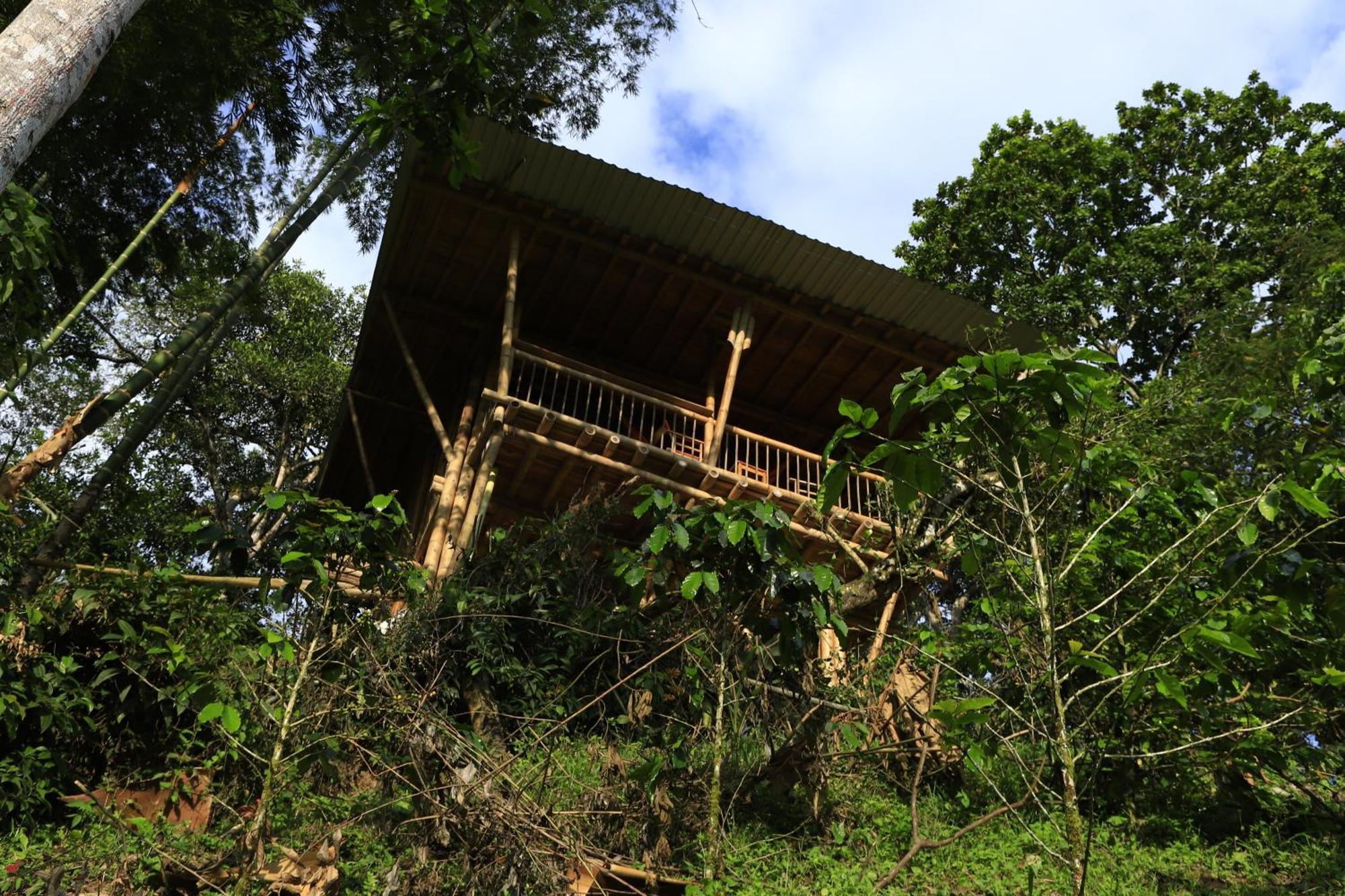 Ecohotel Monteverde La Vega  Bagian luar foto