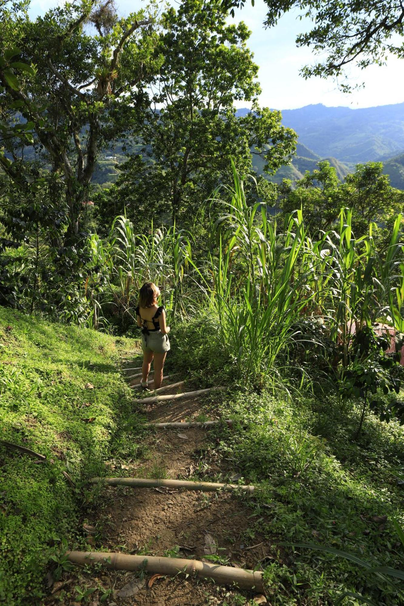 Ecohotel Monteverde La Vega  Bagian luar foto