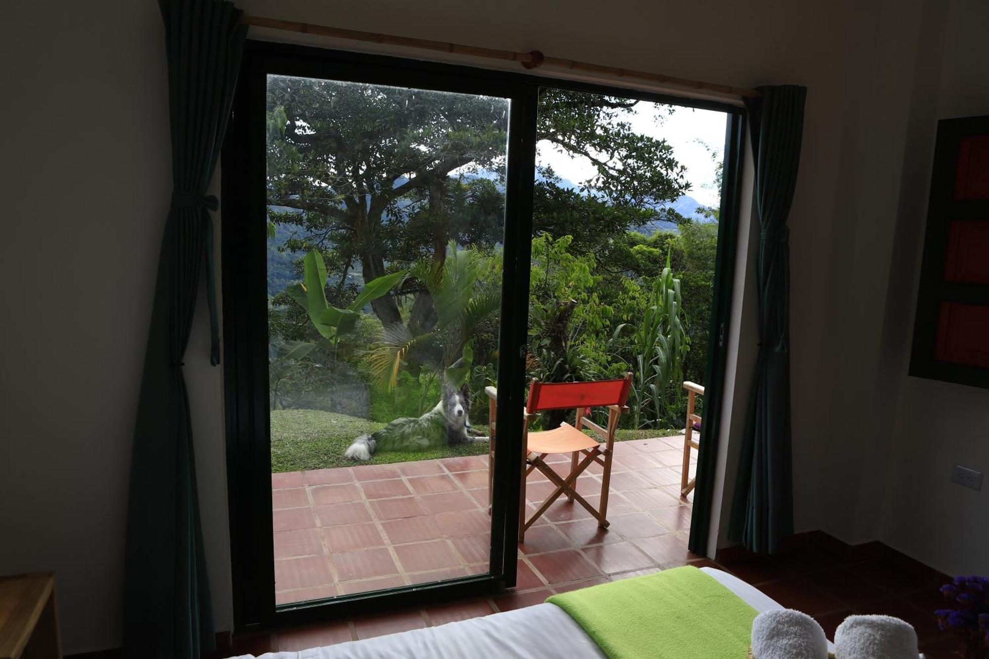 Ecohotel Monteverde La Vega  Bagian luar foto